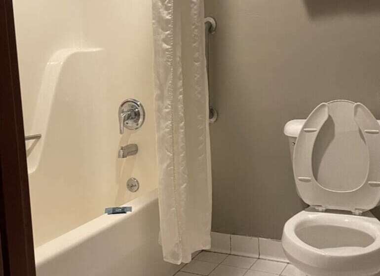Люкс, Ark Suites