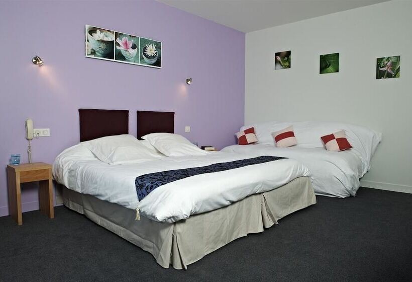 Номер Deluxe, Logis Hotel Belle Vue