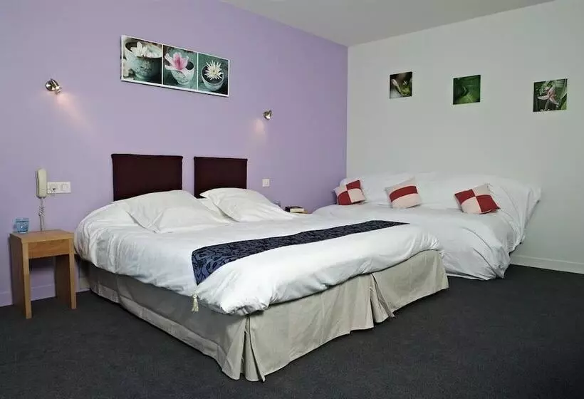 デラックスルーム, Logis Hotel Belle Vue
