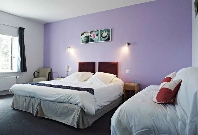 デラックスルーム, Logis Hotel Belle Vue