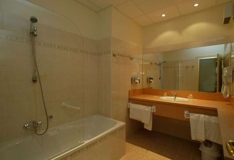 Номер Стандарт, Logis Hotel Restaurant Remotel