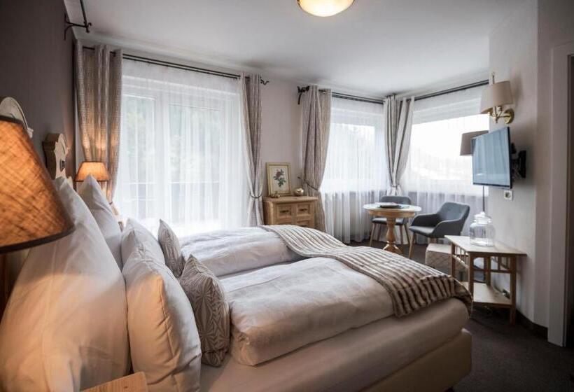 Номер Стандарт Вид на Горы, Chalet Hotel Hartmann Adults Only