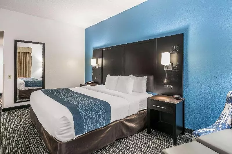 キングサイズベッドのスタンダードルーム, Comfort Inn University