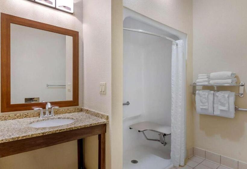 Люкс Адаптированный для Инвалидов, Comfort Suites Near Universal Orlando Resort