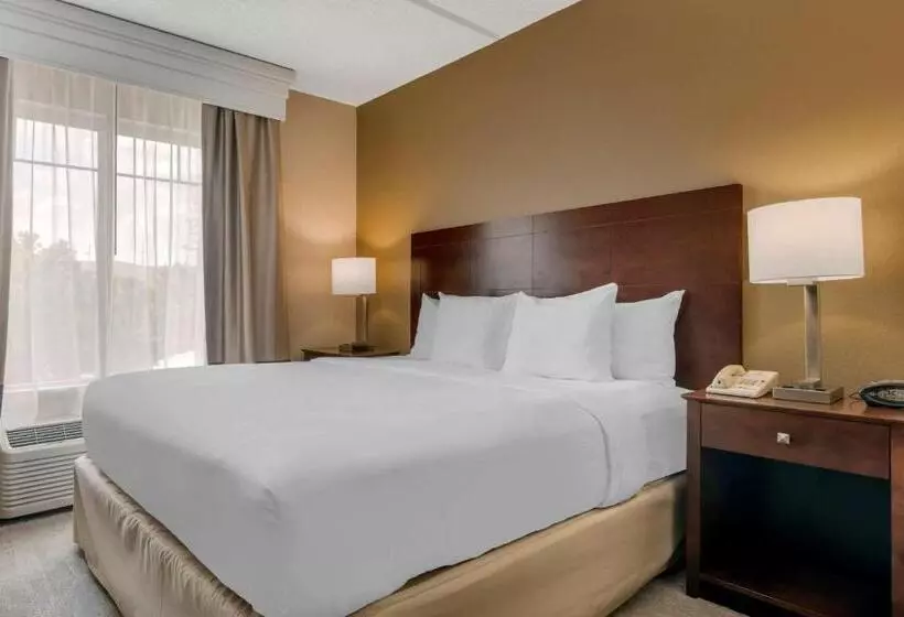 سوئیت برای معلولان, Comfort Suites Near Universal Orlando Resort