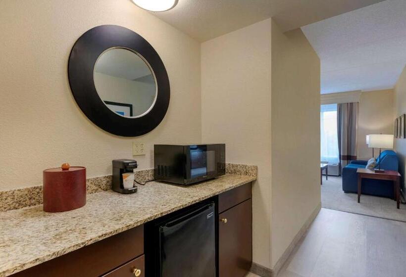 Люкс Кровать Кинг, Comfort Suites Near Universal Orlando Resort