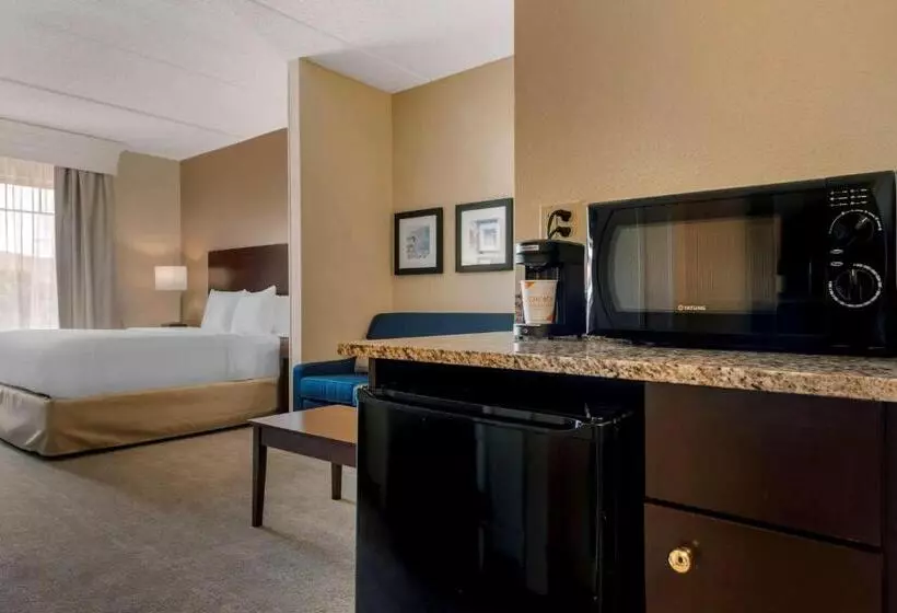 اتاق استاندارد با تخت بزرگ برای معلولان, Comfort Suites Near Universal Orlando Resort