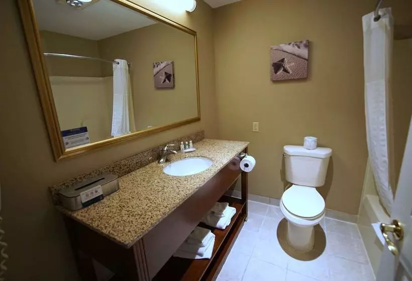 ２ダブルベッドのスタンダードルーム, Quality Inn & Suites Georgetown Seaford