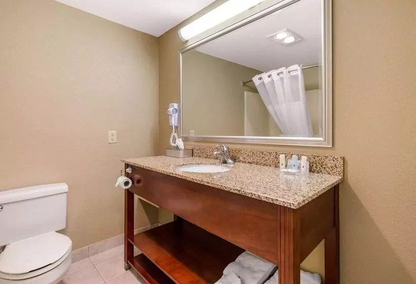 ２ダブルベッドのスタンダードルーム, Quality Inn & Suites Georgetown Seaford