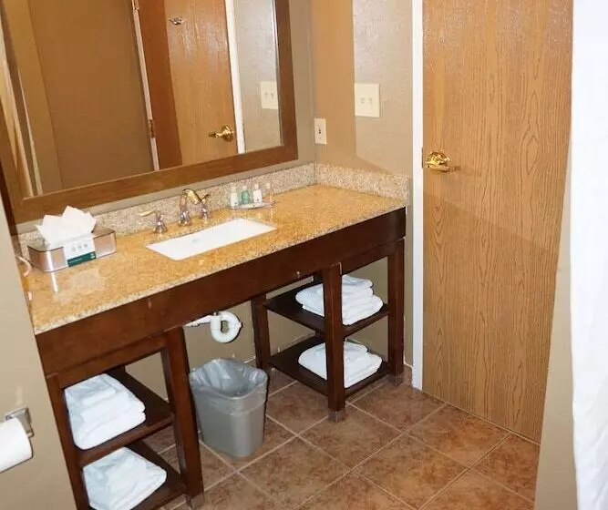 スイート, Quality Inn & Suites Georgetown Seaford