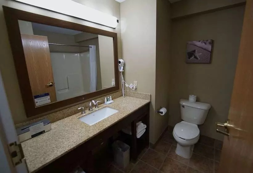 スイート, Quality Inn & Suites Georgetown Seaford