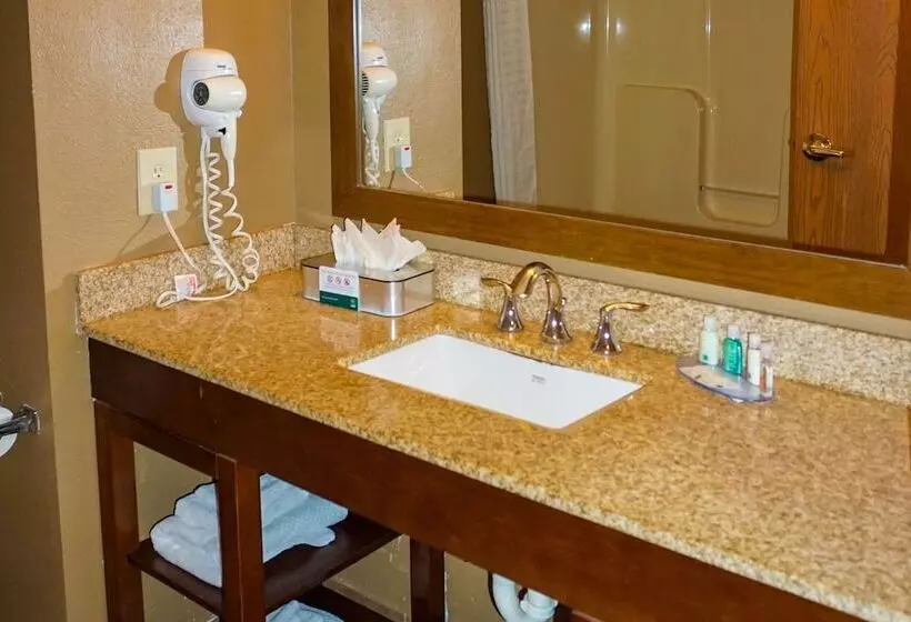 スイート, Quality Inn & Suites Georgetown Seaford