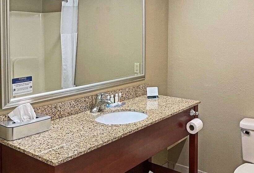 Люкс, Quality Inn & Suites Georgetown Seaford
