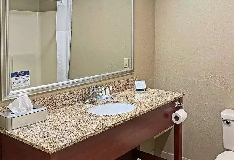 スイート, Quality Inn & Suites Georgetown Seaford