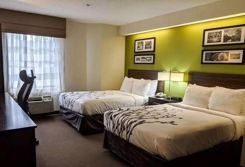 2ダブルベッドのスタンダードルーム, Sleep Inn Woodbridge Potomac Mills