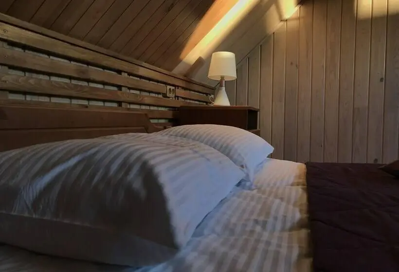 اتاق استاندارد با تخت دوبل, Park Hotel Baikal Dar