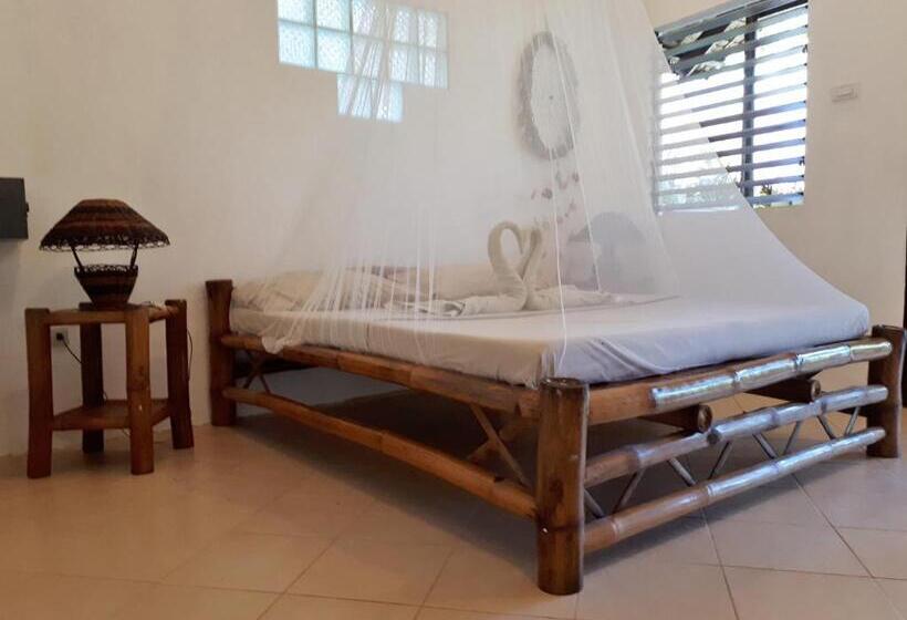 Camera Deluxe, Big Bamboo Beach Resort Sipalay