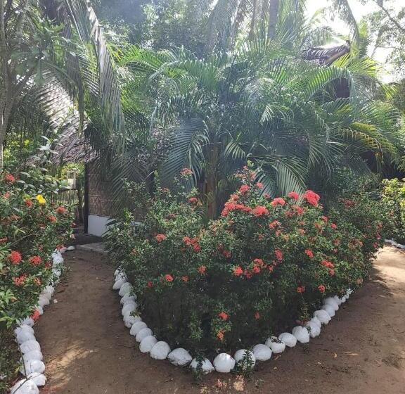 Camera Standard, Big Bamboo Beach Resort Sipalay