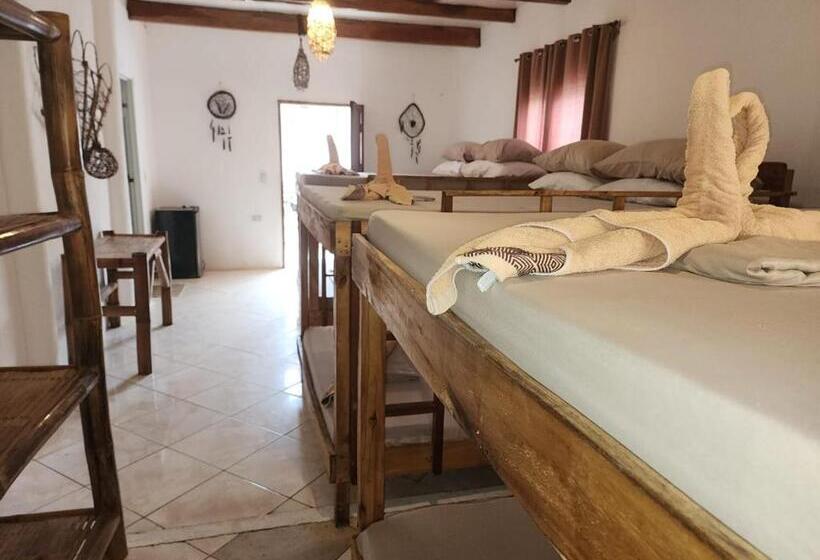 Семейное Студио, Big Bamboo Beach Resort Sipalay