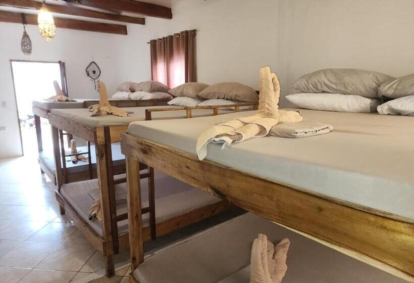 Studio Familiare, Big Bamboo Beach Resort Sipalay