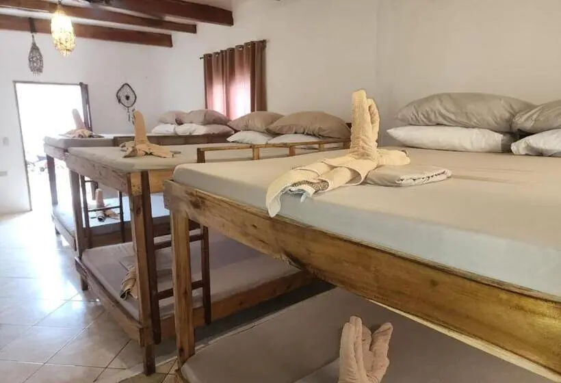 ファミリーステューディオ, Big Bamboo Beach Resort Sipalay