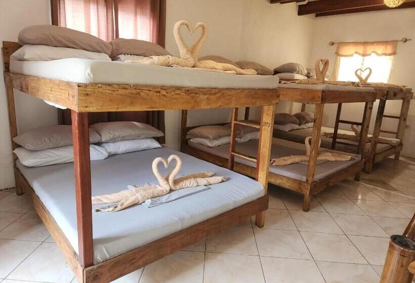 Studio Familiare, Big Bamboo Beach Resort Sipalay