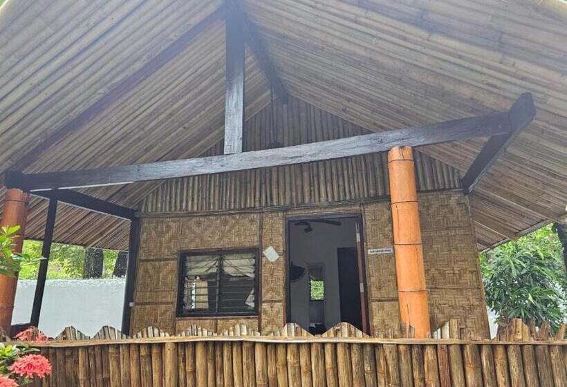Camera Standard, Big Bamboo Beach Resort Sipalay