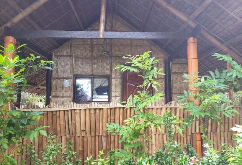 Camera Standard, Big Bamboo Beach Resort Sipalay