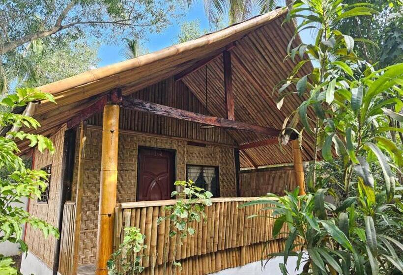 Camera Standard, Big Bamboo Beach Resort Sipalay