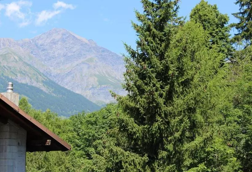 バルコニー付スタンダード４ベッドルーム, Chalet Bellevue