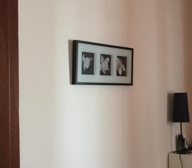 ファミリールーム, Splendid