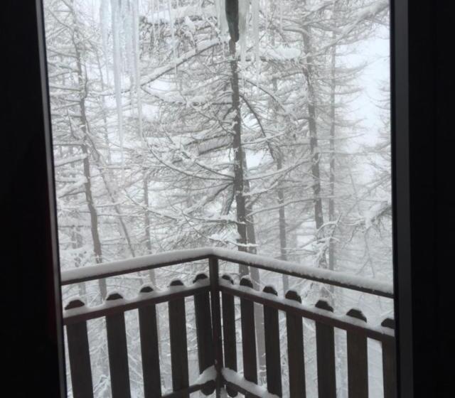 ファミリールーム, Splendid