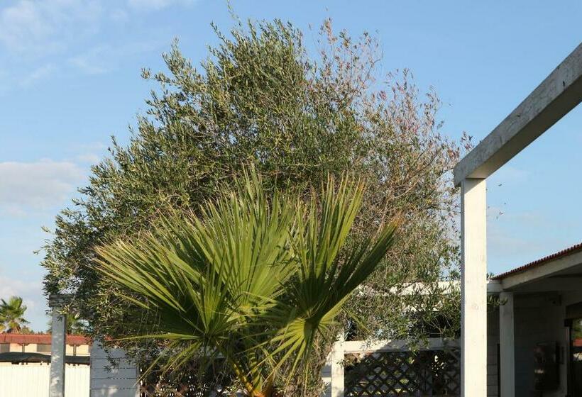 Номер Стандарт Вид на Море, Torquemada Beach Club