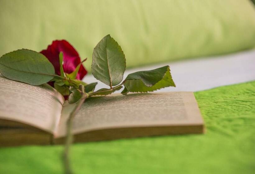 스탠다드 룸 킹사이즈 침대, B&b Giosy