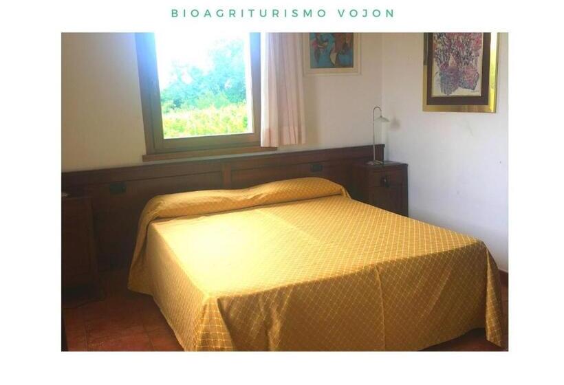 غرفة قياسية, Bio Agriturismo Vojon
