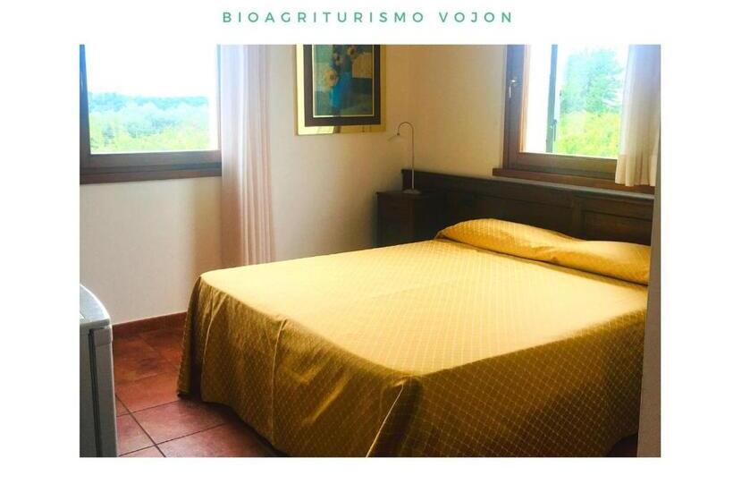 غرفة قياسية, Bio Agriturismo Vojon