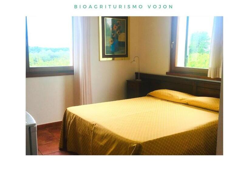 غرفة قياسية, Bio Agriturismo Vojon