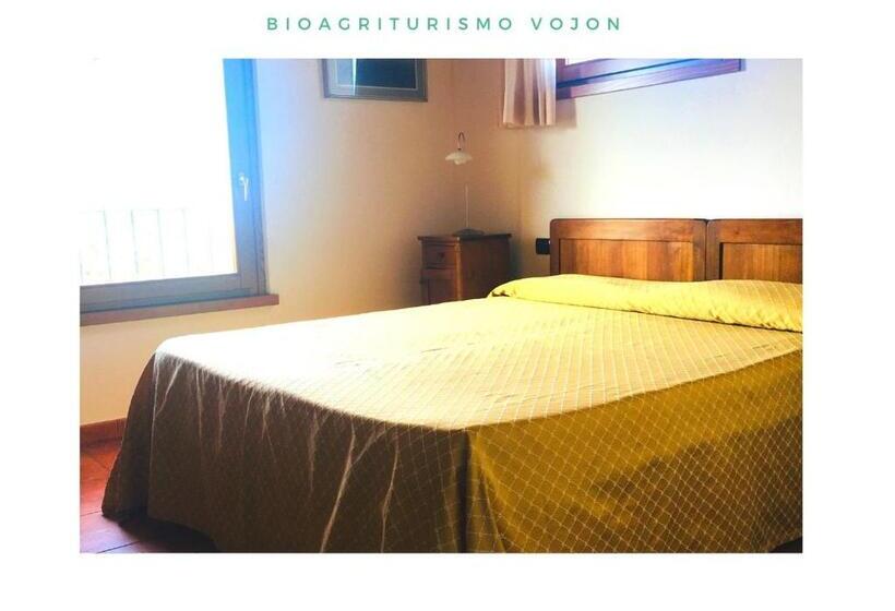 غرفة قياسية, Bio Agriturismo Vojon
