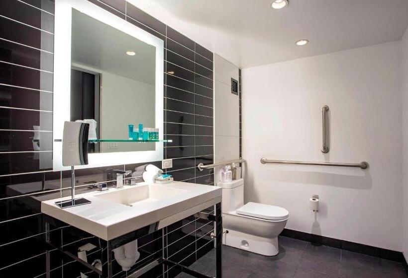 اتاق استاندارد با تخت بزرگ, W Chicago  Lakeshore