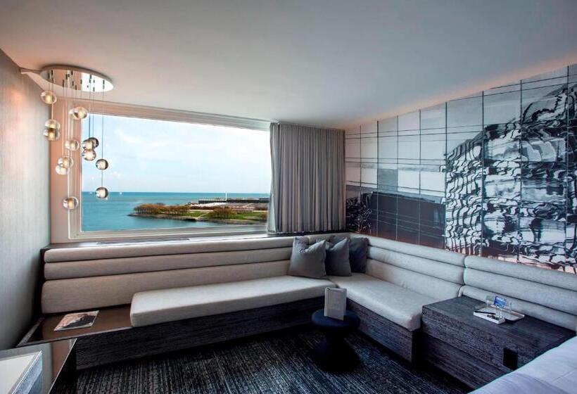 اتاق استاندارد با تخت بزرگ, W Chicago  Lakeshore