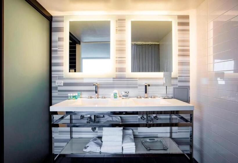 اتاق استاندارد با چشم‌انداز دریاچه, W Chicago  Lakeshore