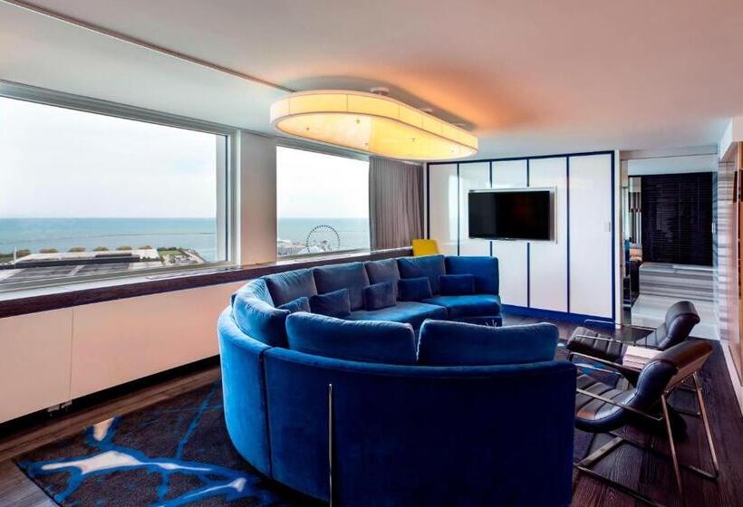 سوئیت با تخت بزرگ, W Chicago  Lakeshore