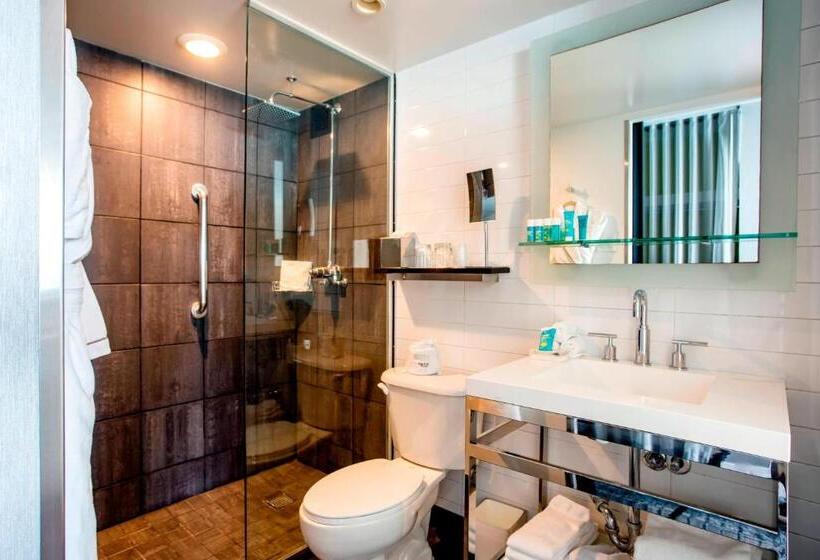 اتاق استاندارد با تخت بزرگ برای معلولان, W Chicago  Lakeshore