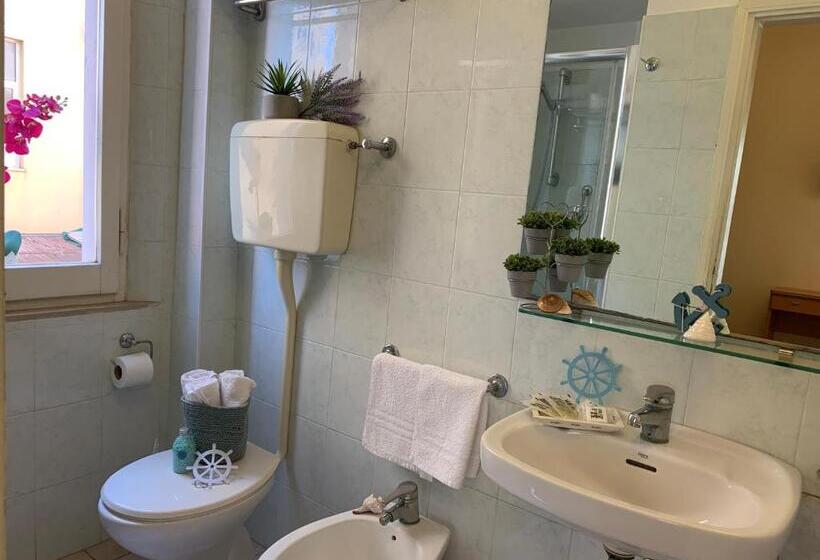 اتاق استاندارد چهار تخته, Palma Benessere