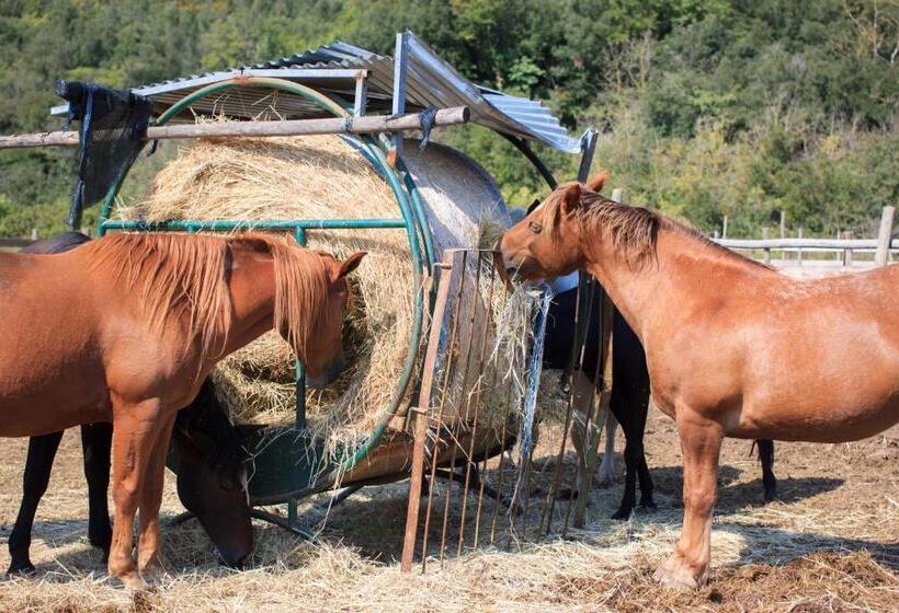 شقة غرفتين, Agriturismo Tenuta Vallelunga