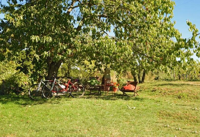 Апартаменты 1 Спальня Нижний Этаж, Azienda Agricola Di Fietri