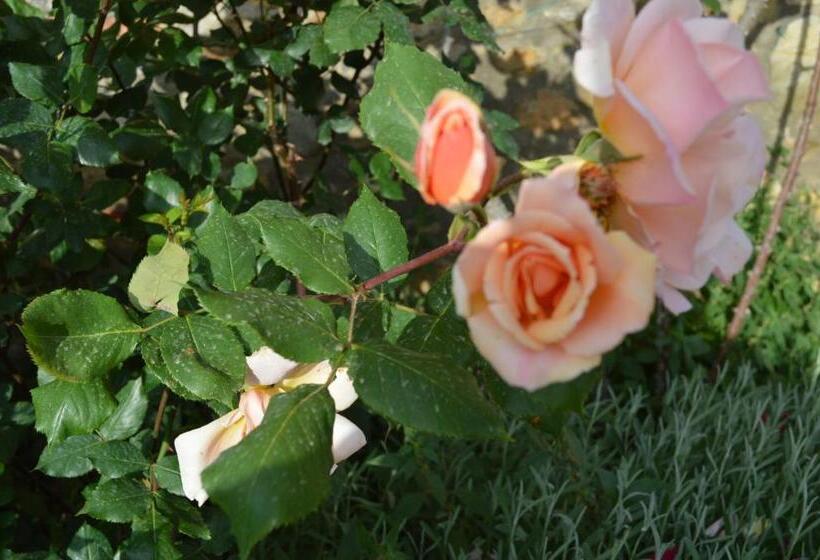 וילה עם חדר שינה אחד ובריכת שחיה, Agriturismo Podere Terrena