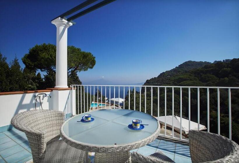 Номер Стандарт с Террасой, Suite Villa Carolina