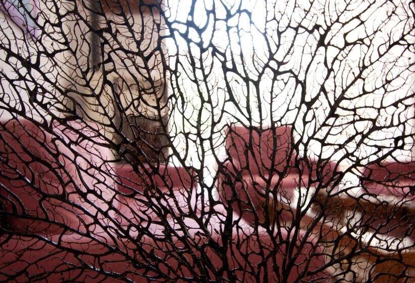 Вилла Deluxe 1 Спальня, Suite Villa Carolina