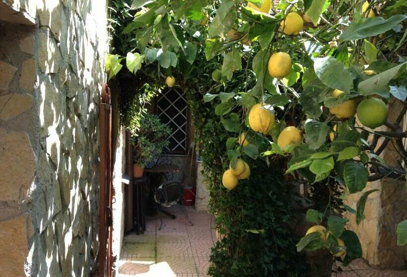 اتاق استاندارد, La Villetta B&b